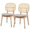 Chaises Coy (lot De 2)