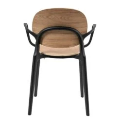 Chaises à Accoudoirs Day (lot De 2) -Chaises Soldes 1000273479 220420 040 DETAILS P000000001000273479