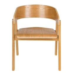 Chaise à Accoudoirs Goose -Chaises Soldes 1000281770 221102 030 DETAILS P000000001000281770