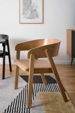 Chaise à Accoudoirs Goose -Chaises Soldes 1000281770 230321 030 DETAILS P000000001000281770