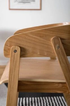 Chaise à Accoudoirs Goose -Chaises Soldes 1000281770 230321 040 DETAILS P000000001000281770