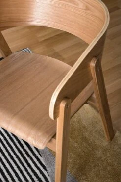 Chaise à Accoudoirs Goose -Chaises Soldes 1000281770 230321 050 DETAILS P000000001000281770