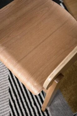 Chaise à Accoudoirs Goose -Chaises Soldes 1000281770 230321 060 DETAILS P000000001000281770