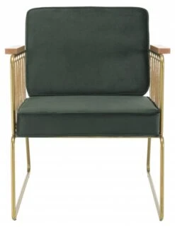 Fauteuil Velours Vert Foncé -Chaises Soldes 892b70ad7a594b42a2509db99c7b8c8e.cropped 161 91 578 751.processed